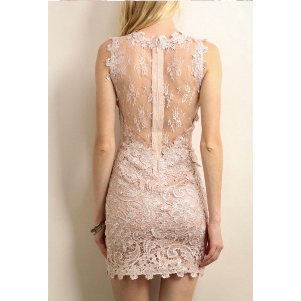 Soieblu Dusty Blush Lace Sheer-Back Mini Dress